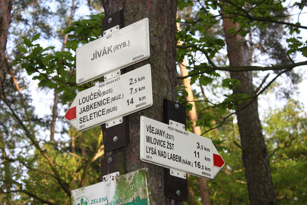 Lovecky Hotel Jivak Loučeň Kültér fotó